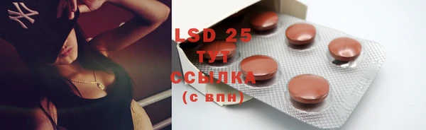 ГАЛЛЮЦИНОГЕННЫЕ ГРИБЫ Зерноград