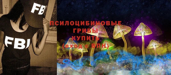 дживик Заволжск