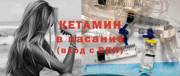 стаф Заводоуковск