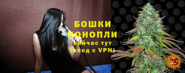 стаф Заводоуковск