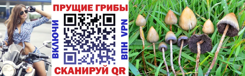 Галлюциногенные грибы ЛСД  где продают наркотики  Домодедово 