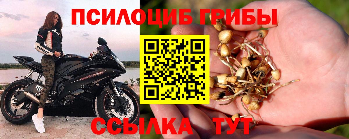 Галлюциногенные грибы мицелий Домодедово