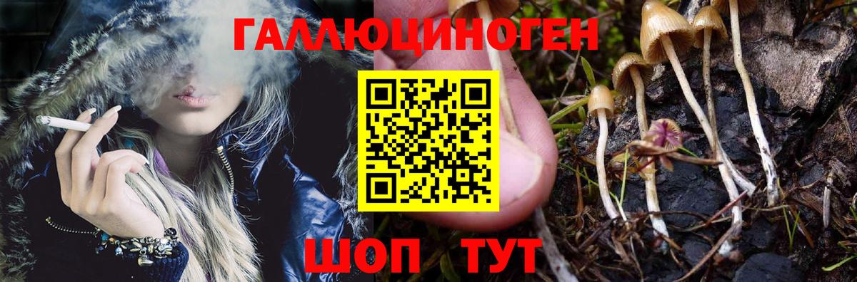 Псилоцибиновые грибы Cubensis  Галлюциногенные грибы ЛСД  Домодедово  Вход с VPN 