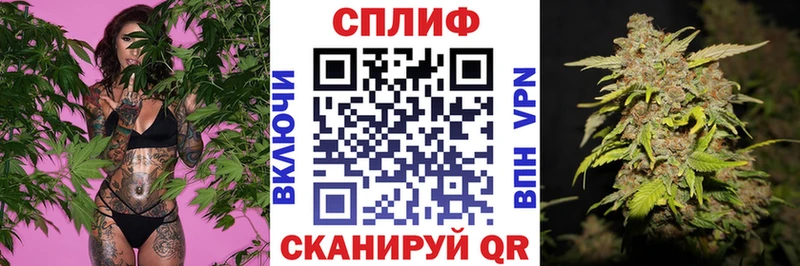 Конопля сатива  Домодедово 